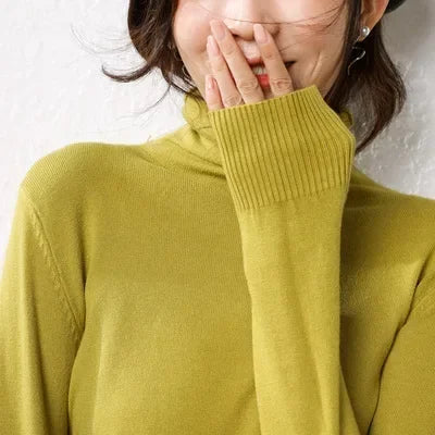 Modern și minimalist Pulover