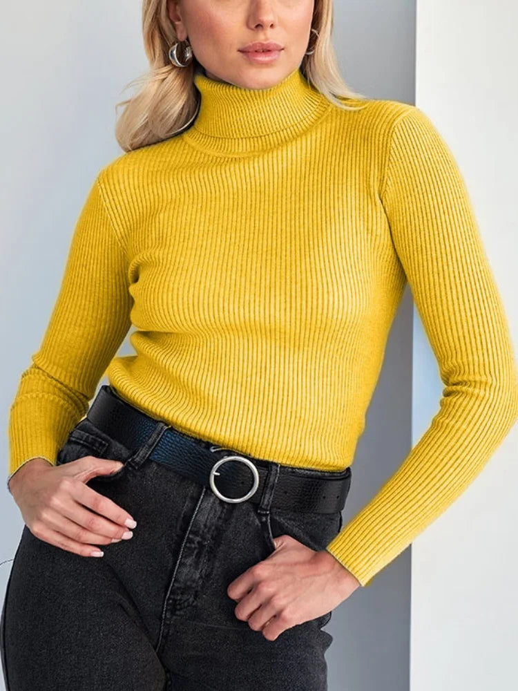 Rafinat și radiant Pulover